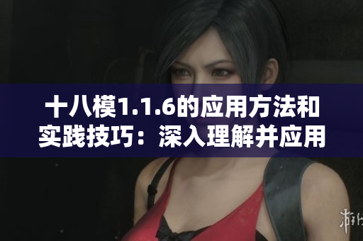 十八模1.1.6的应用方法和实践技巧：深入理解并应用十八模1.1.6原则