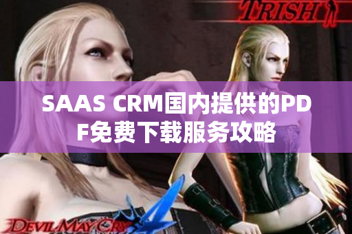 SAAS CRM国内提供的PDF免费下载服务攻略