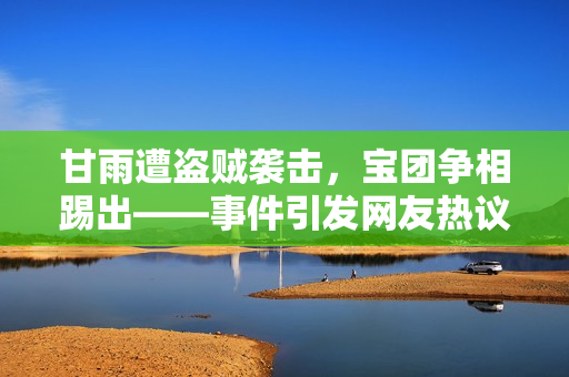 甘雨遭盗贼袭击，宝团争相踢出——事件引发网友热议