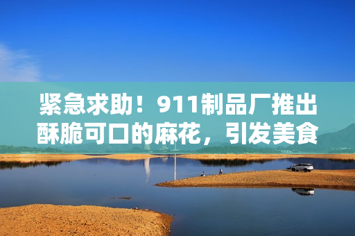 紧急求助！911制品厂推出酥脆可口的麻花，引发美食热潮