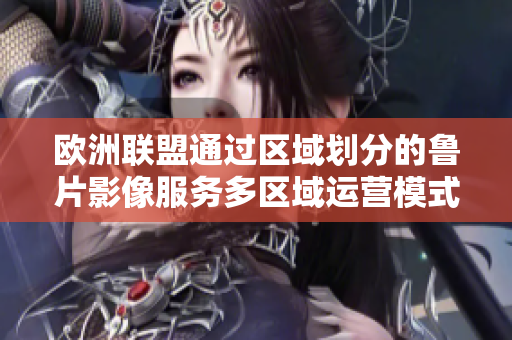 欧洲联盟通过区域划分的鲁片影像服务多区域运营模式
