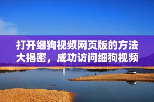 打开细狗视频网页版的方法大揭密，成功访问细狗视频网页版的步骤详解