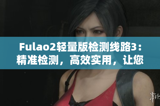 Fulao2轻量版检测线路3：精准检测，高效实用，让您的检测更可靠