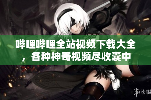 哔哩哔哩全站视频下载大全，各种神奇视频尽收囊中