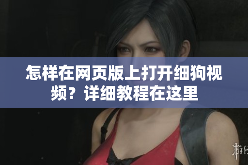 怎样在网页版上打开细狗视频？详细教程在这里