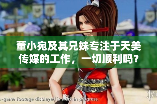 董小宛及其兄妹专注于天美传媒的工作，一切顺利吗？