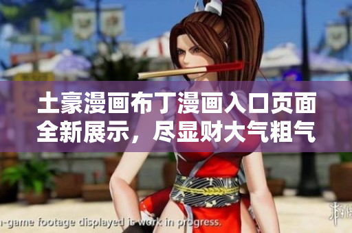 土豪漫画布丁漫画入口页面全新展示，尽显财大气粗气势非凡!