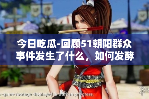 今日吃瓜-回顾51朝阳群众事件发生了什么，如何发酵？