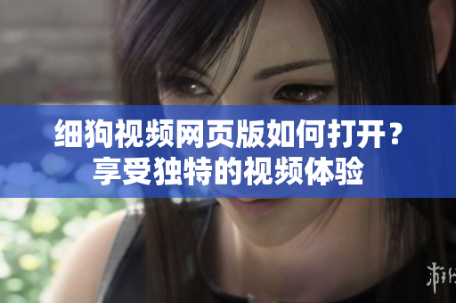细狗视频网页版如何打开？享受独特的视频体验
