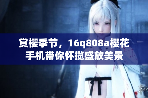 赏樱季节，16q808a樱花手机带你怀揽盛放美景