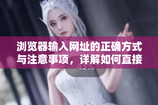 浏览器输入网址的正确方式与注意事项，详解如何直接进入网站