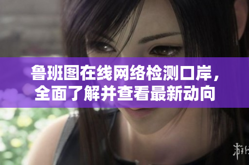 鲁班图在线网络检测口岸，全面了解并查看最新动向