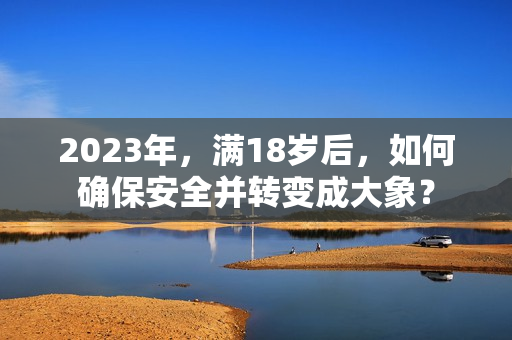2023年，满18岁后，如何确保安全并转变成大象？