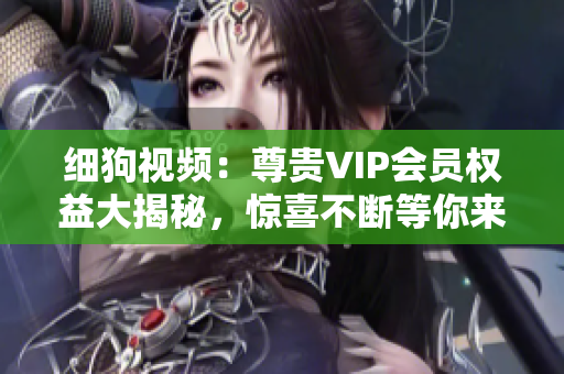 细狗视频：尊贵VIP会员权益大揭秘，惊喜不断等你来！