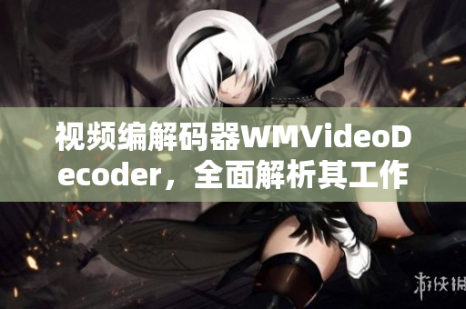 视频编解码器WMVideoDecoder，全面解析其工作原理及应用领域
