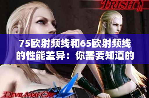 75欧射频线和65欧射频线的性能差异：你需要知道的关键区别