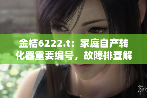 金桔6222.t：家庭自产转化器重要编号，故障排查解析