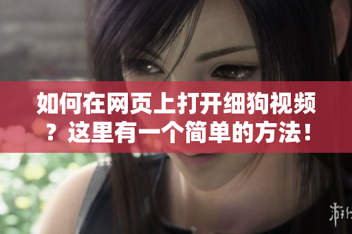 如何在网页上打开细狗视频？这里有一个简单的方法！