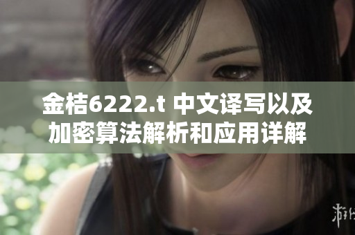 金桔6222.t 中文译写以及加密算法解析和应用详解