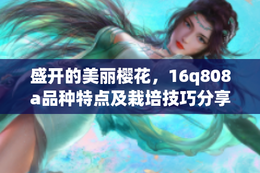 盛开的美丽樱花，16q808a品种特点及栽培技巧分享