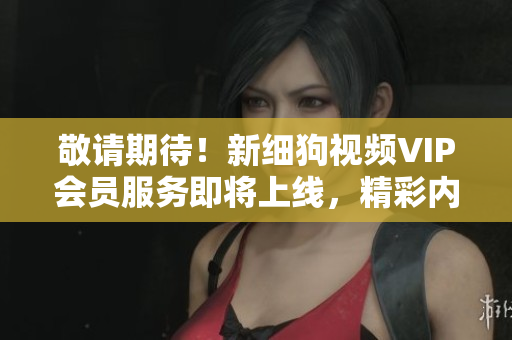 敬请期待！新细狗视频VIP会员服务即将上线，精彩内容尽收眼底