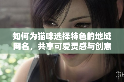 如何为猫咪选择特色的地域网名，共享可爱灵感与创意