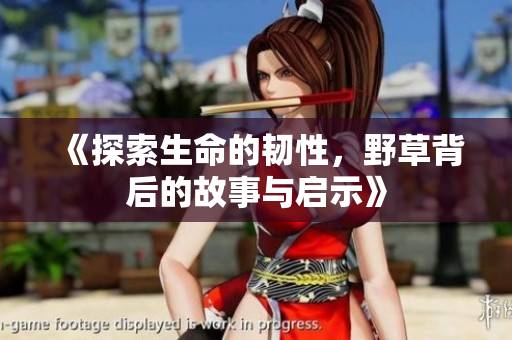 《探索生命的韧性，野草背后的故事与启示》