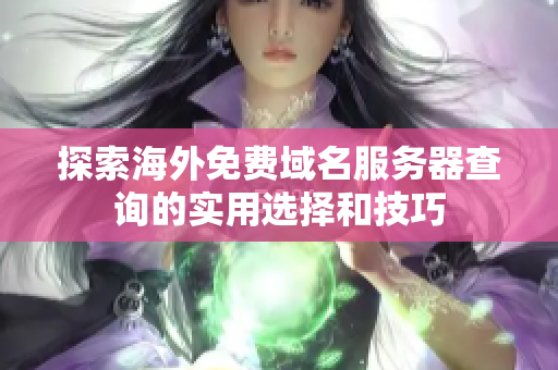 探索海外免费域名服务器查询的实用选择和技巧