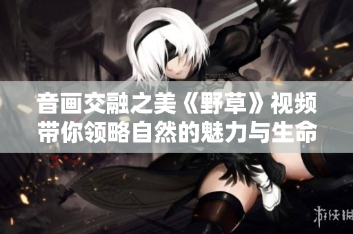 音画交融之美《野草》视频带你领略自然的魅力与生命的力量
