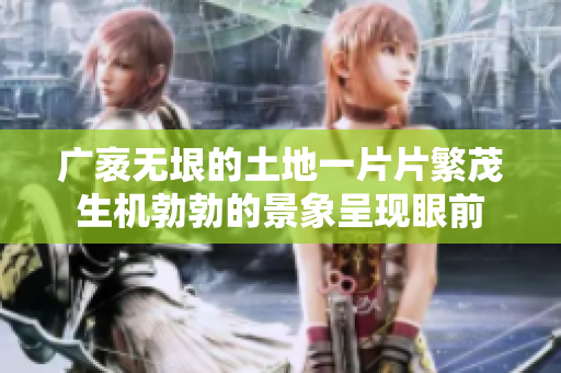 广袤无垠的土地一片片繁茂生机勃勃的景象呈现眼前