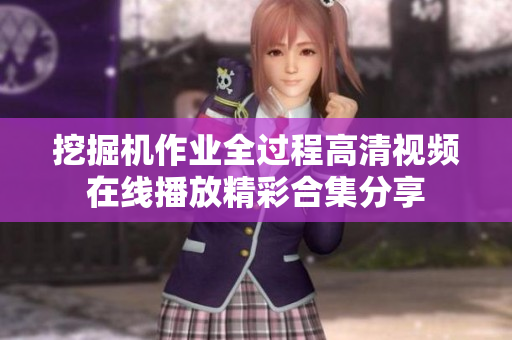 挖掘机作业全过程高清视频在线播放精彩合集分享